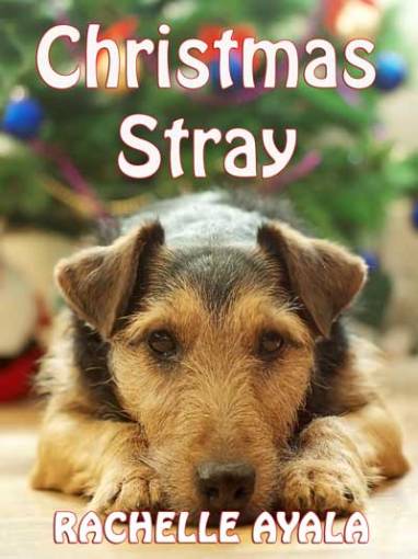 14-Christmas-Stray